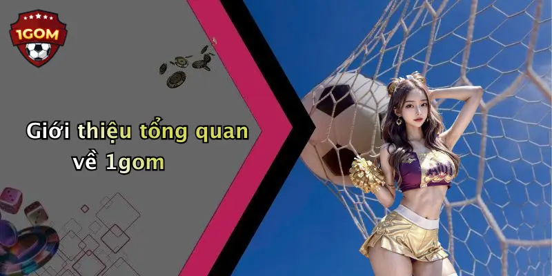 Giới thiệu tổng quan về 1gom